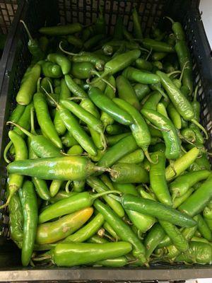 Green Peppers.