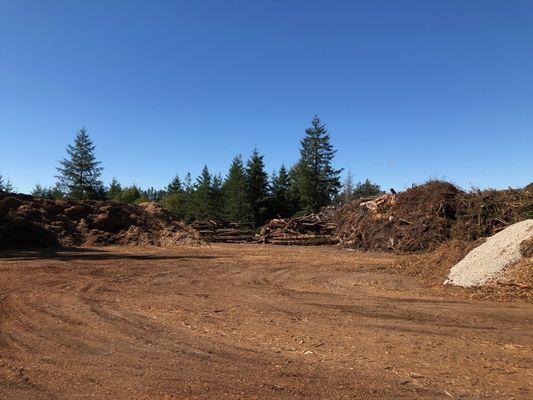 Our "Hog Fuel" pile that is created from recycled material that customers bring in, alongside our massive stump pile ready to be ground.