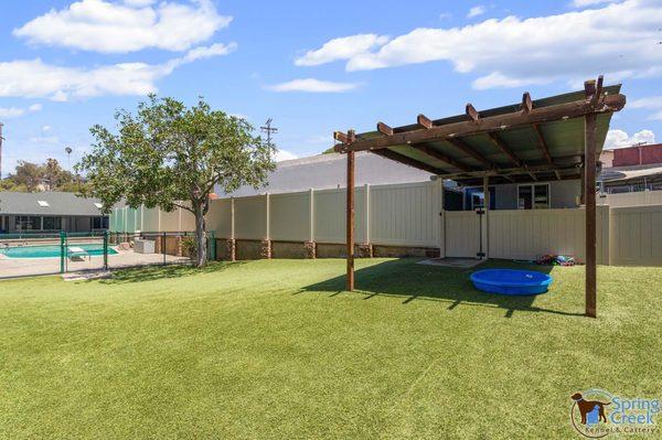 One of our play yards with the dog swimming pool in the background.