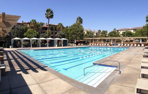 Playa Vista Swimming