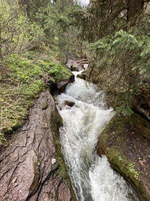 Bear Creek Falls Trail