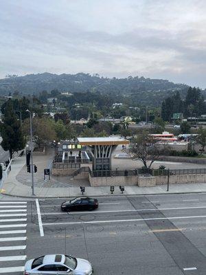 Bus stops across the street