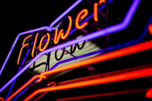 Cannabis flower neon sign. Oasis Cannabis Superstore