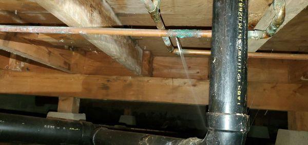 Copper pipe leak in a crawlspace