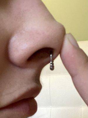 This is way too low for a septum - it went right through my soft cartilage!