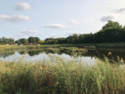 Retaining pond with floating islands.