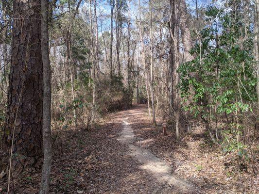 Colleton State Park