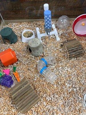 the pine bedding used for the hamsters and other rodents is toxic because of the pine. owner doesn't care because it's cheaper