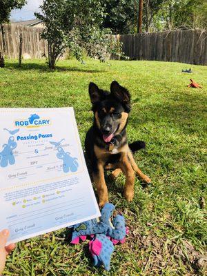 Goku graduated puppy training class #1!