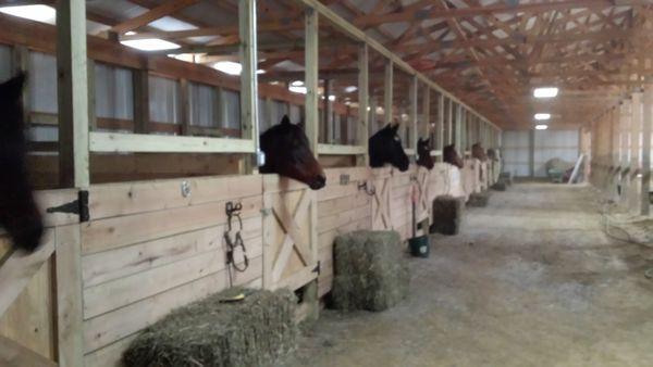 Stalls in indoor arena