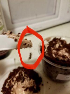 Hair in the cake in circle