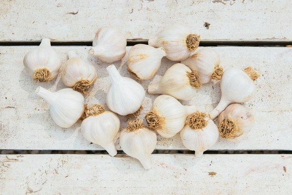 Fresh Garlic