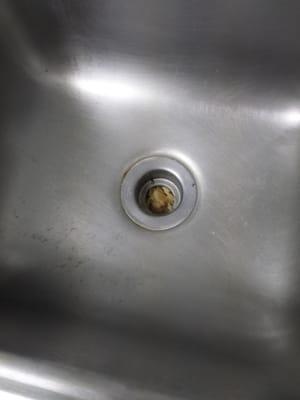 Eeew...! What I found in the exam room sink!