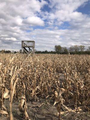 Odyssey Fun Farm Pumpkin Patch & Corn Maize