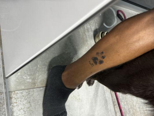 Dog print tattoo