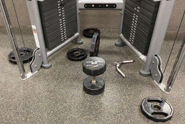 Every section of the gym looks like this. Abandoned weights not cleaned up.