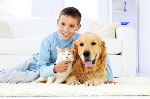 Chem-Dry of Central Illinois uses products that are non-toxic and hypoallergenic, making us safe to use around kids and pets!