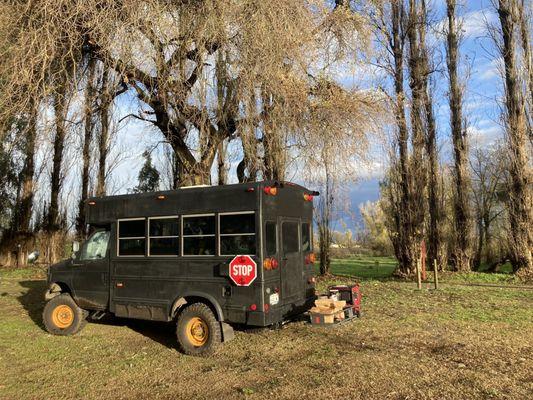 Lindy's Landing Campground