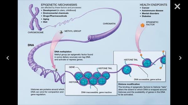 Be empowered to alter your DNA for the good today!