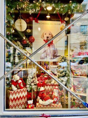 Christmas Window Front-2023