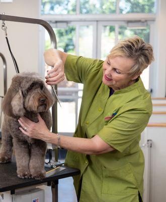 Joybound Dog Grooming Academy