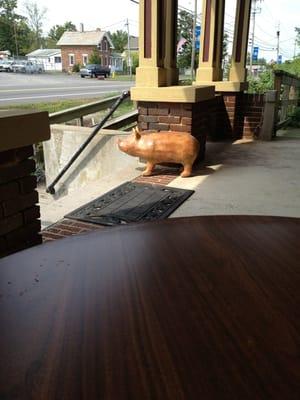 Pig on the porch.