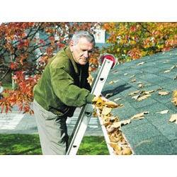 Gutter Cleaning