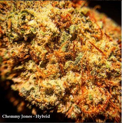 Chemmy Jones testing at 37,3% THC!