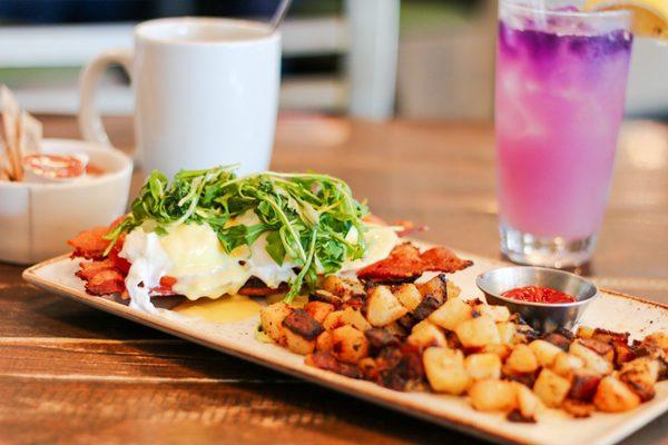 BLT Benedict w/ hash, Purple Haze, & Coffee