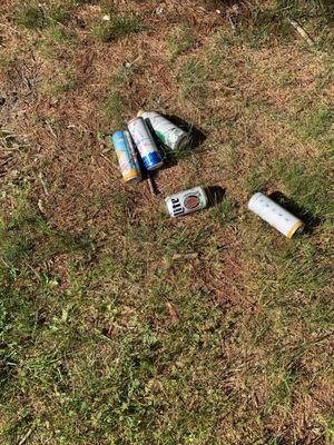 No trash cans on the course and this is shat you get.