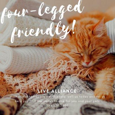 Pet Friendly Properties