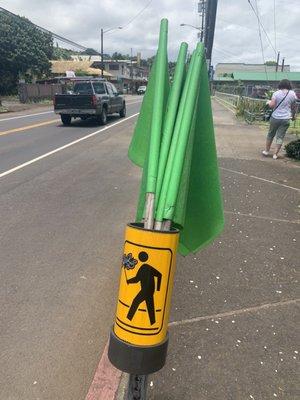 I recommend using the flags when crossing the street! They are there for a very good reason!