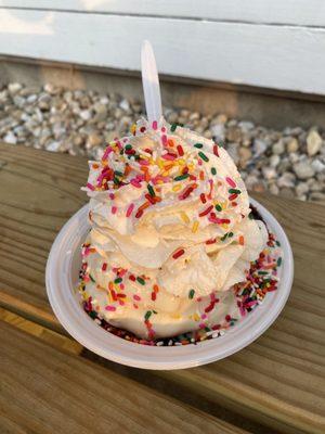 Brownie sundae with sprinkles.  There was a brownie under all that!