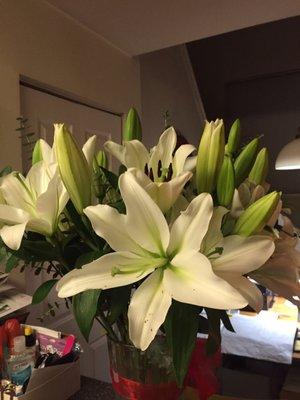 Amazing Lillies! Karin's has the best!! I got 12 stems last Friday each with 3-4 buds on-