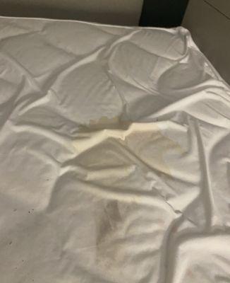 Stain on mattress cover.