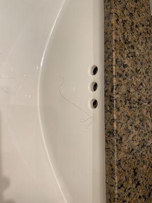 Hairs left in the sink from last occupants