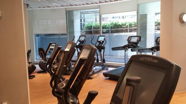 Main room. Treadmills and ellipticals