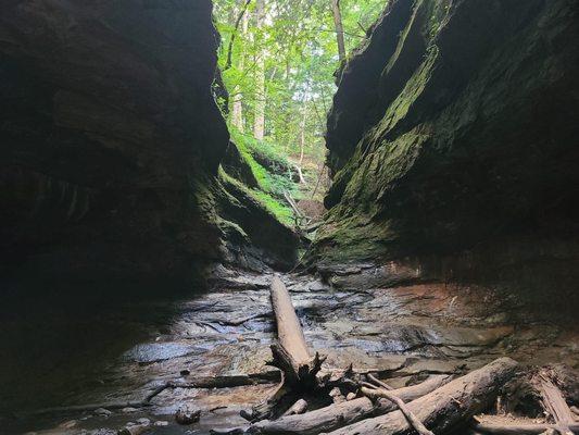 The trail goes up the water. Absolutely stunning.