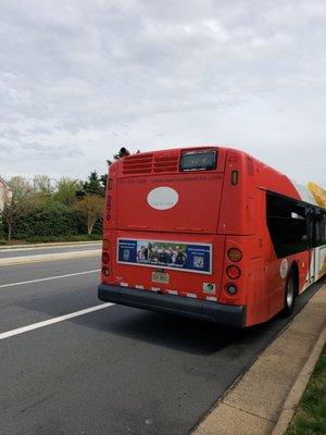 Ignorant and rude bus driver.