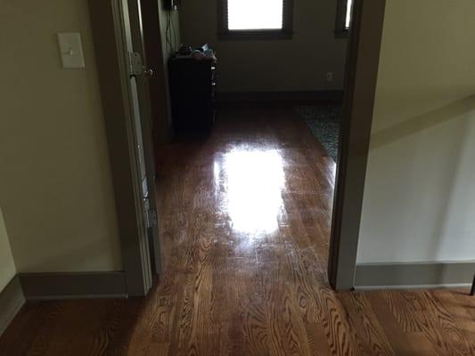 My floors are always so shiny after a cleaning!