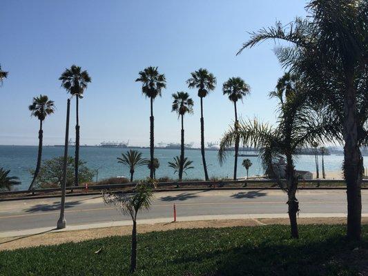 Looking out from Ocean Blvd and Junipero Avenue, Cherry Beach