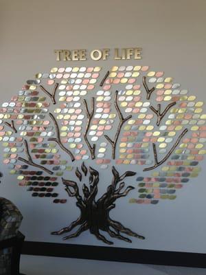 Outside the ICU, a tree with plates and the names of organ donors. Very touching tribute