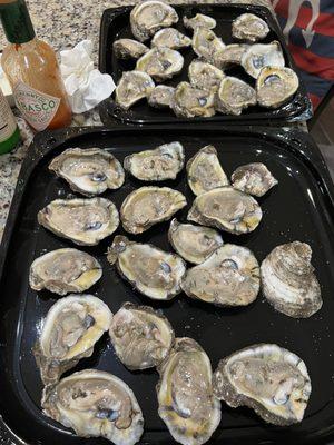 Fresher, shucked gulf oysters for 99 cents each.