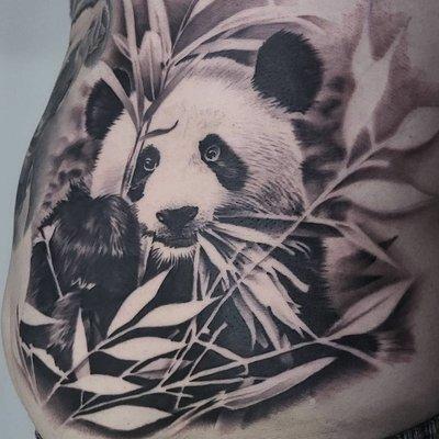 Realistic panda by Paul