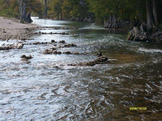 GUADALUPE RIVER