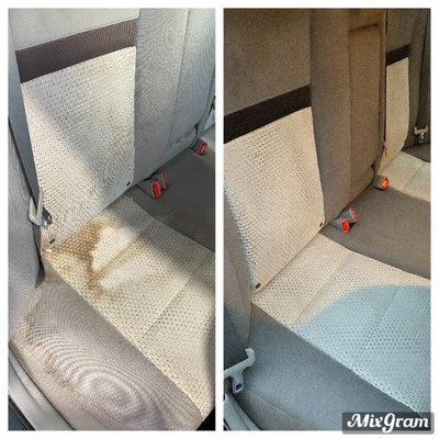 shampooed seats