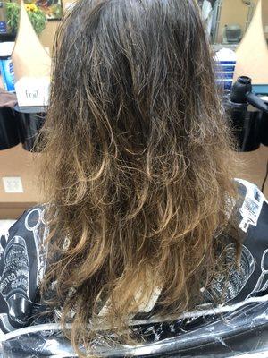 Before Balayage  (old highlights)