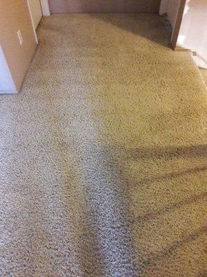 Our carpet is 18 years old. Starbrite was great at cleaning it!