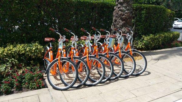 Bicycles at the Four Seasons Hotel Palm Beach Island from Family Bicycles