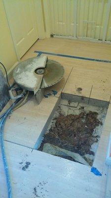 This is an example of a small slab leak= by accessing through the floor our client had minimal damage to their home